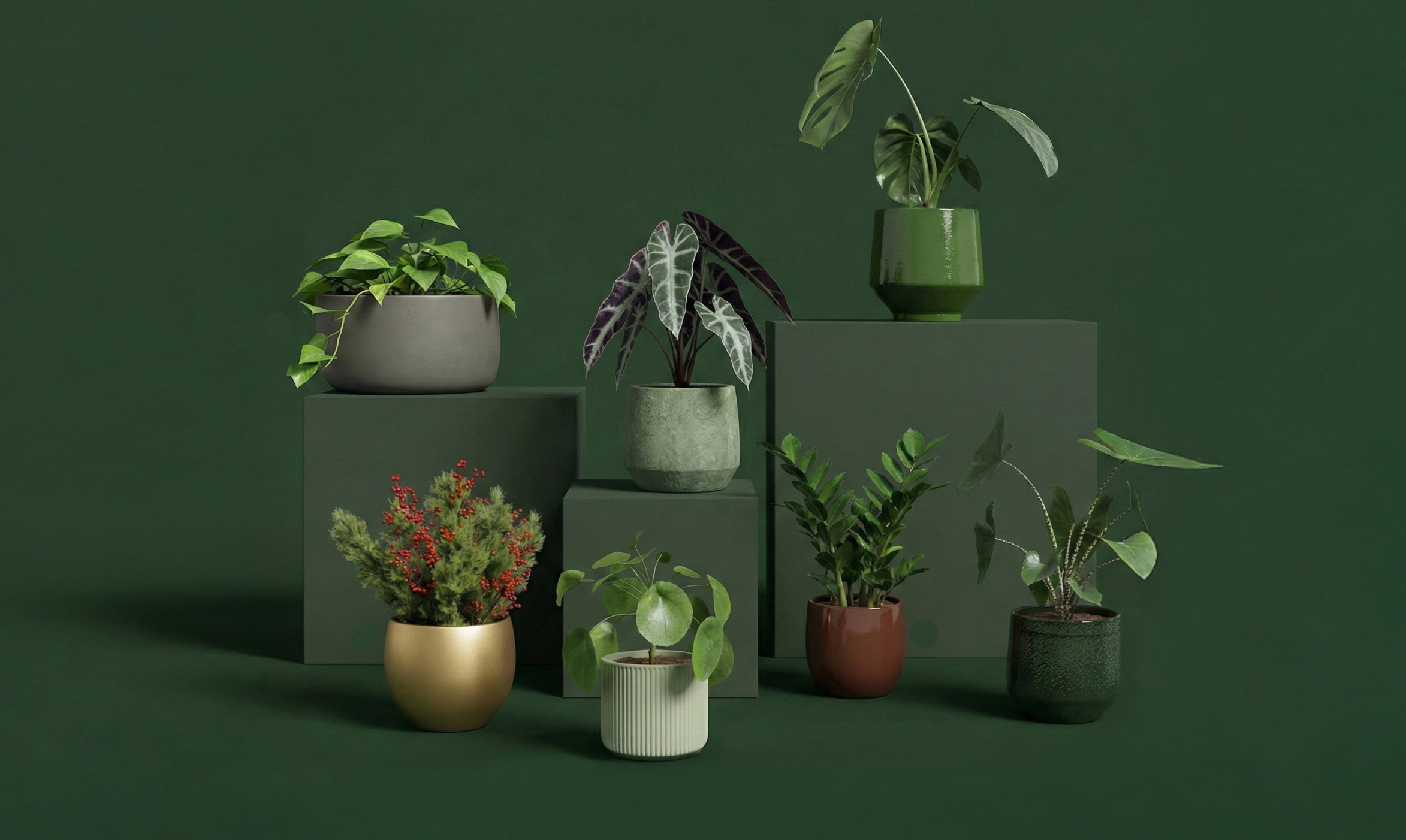 Product scene with interactive points