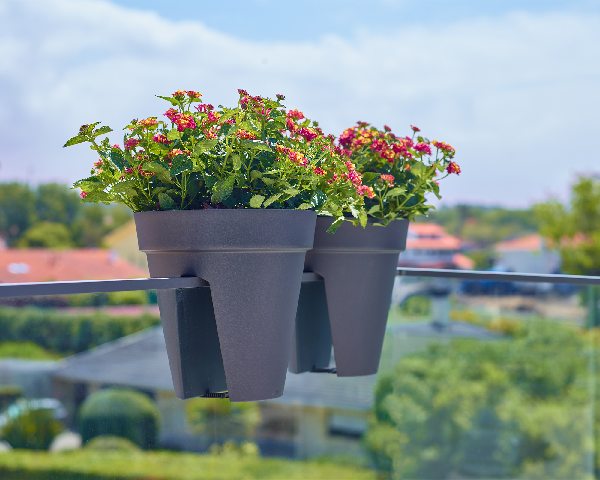 Capri Balcony Pot