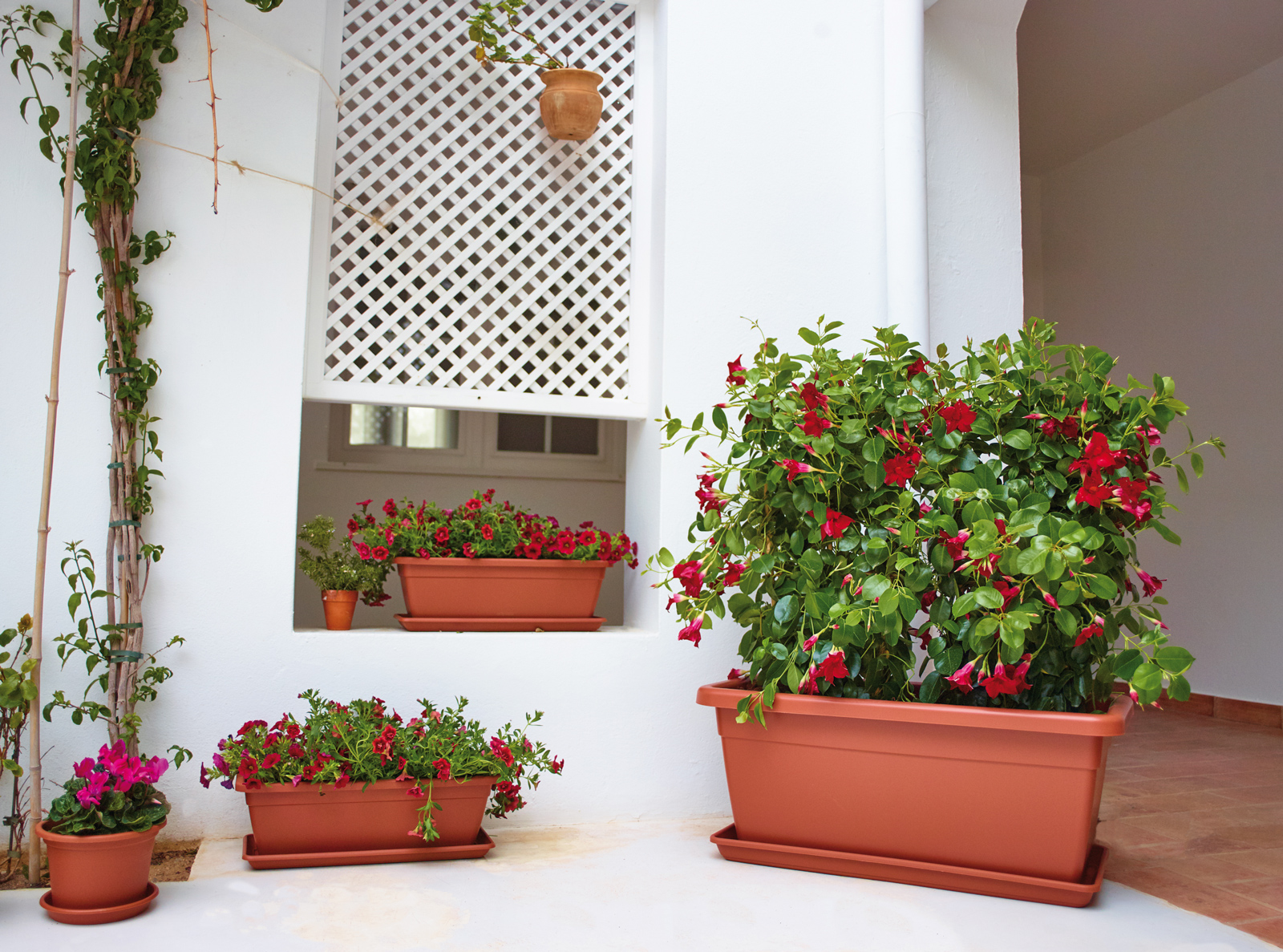 Venezia Plant Box