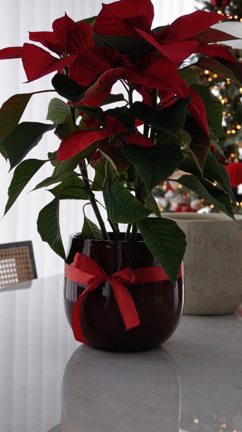 Decoração de Natal